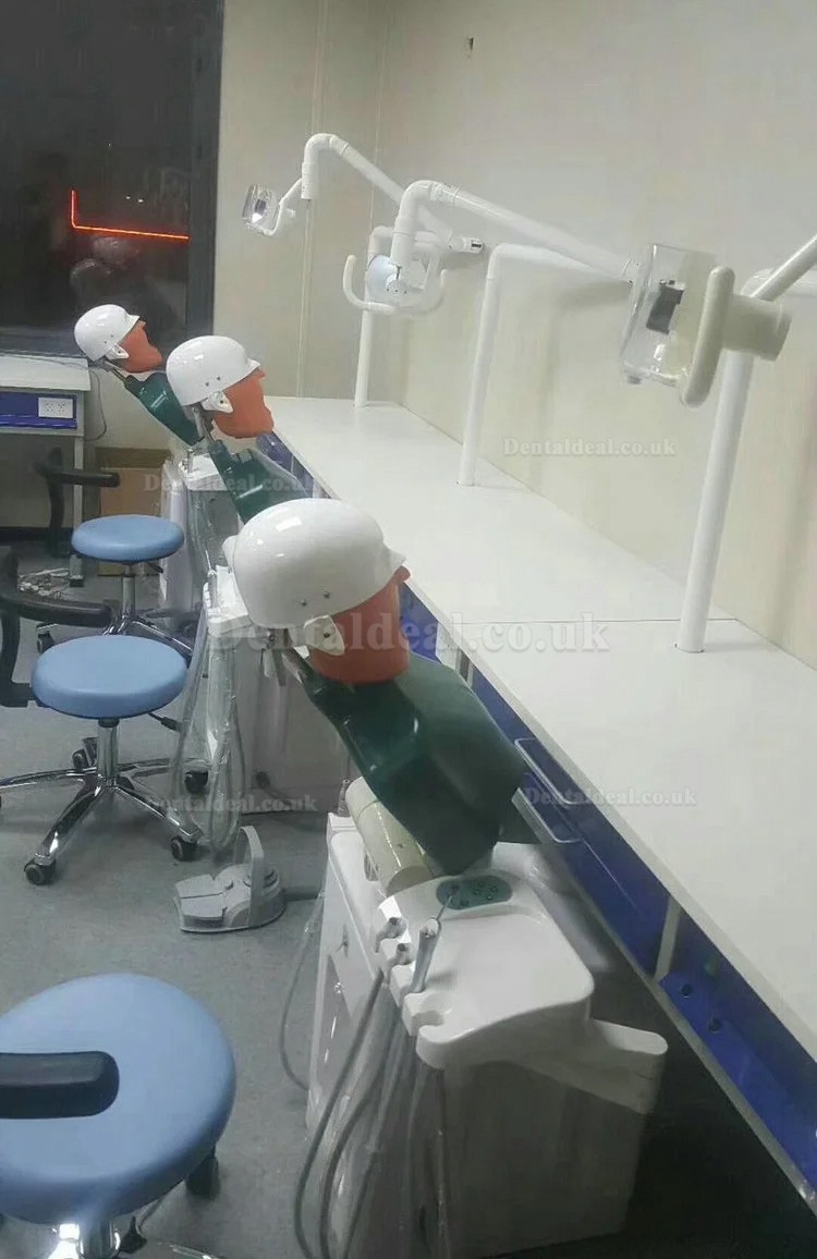 Jingle JG-A1 Phantom Head For Dental Students Dental Patient Simulation Unit